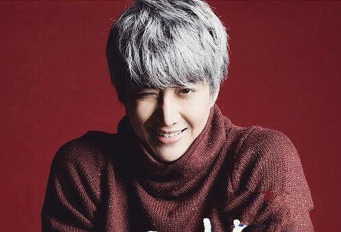 mike演员,光影交织下的璀璨星途