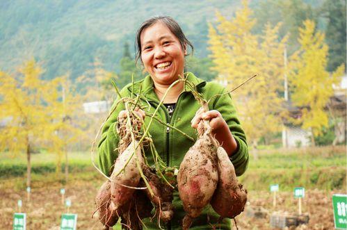 陈明英的家庭背景,出身寒微，逆袭人生，谱写励志传奇